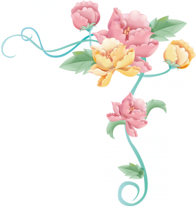пионы пионы